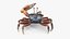Male Fiddler Crab Rigged and Animated