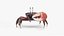 Male Fiddler Crab Rigged and Animated