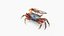 Male Fiddler Crab Rigged and Animated