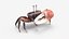 Male Fiddler Crab Rigged and Animated