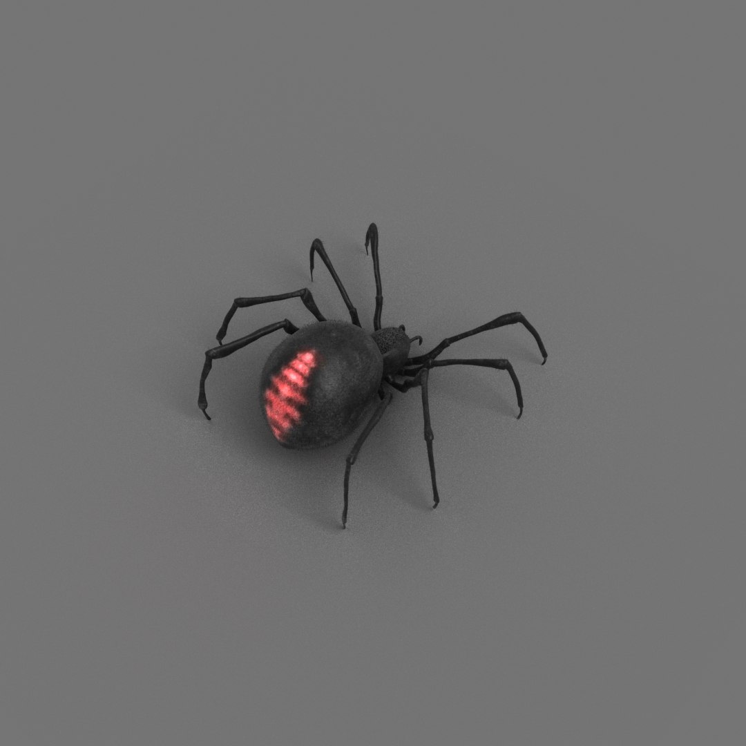 Red Spider Animation 3D Model - TurboSquid 1418667