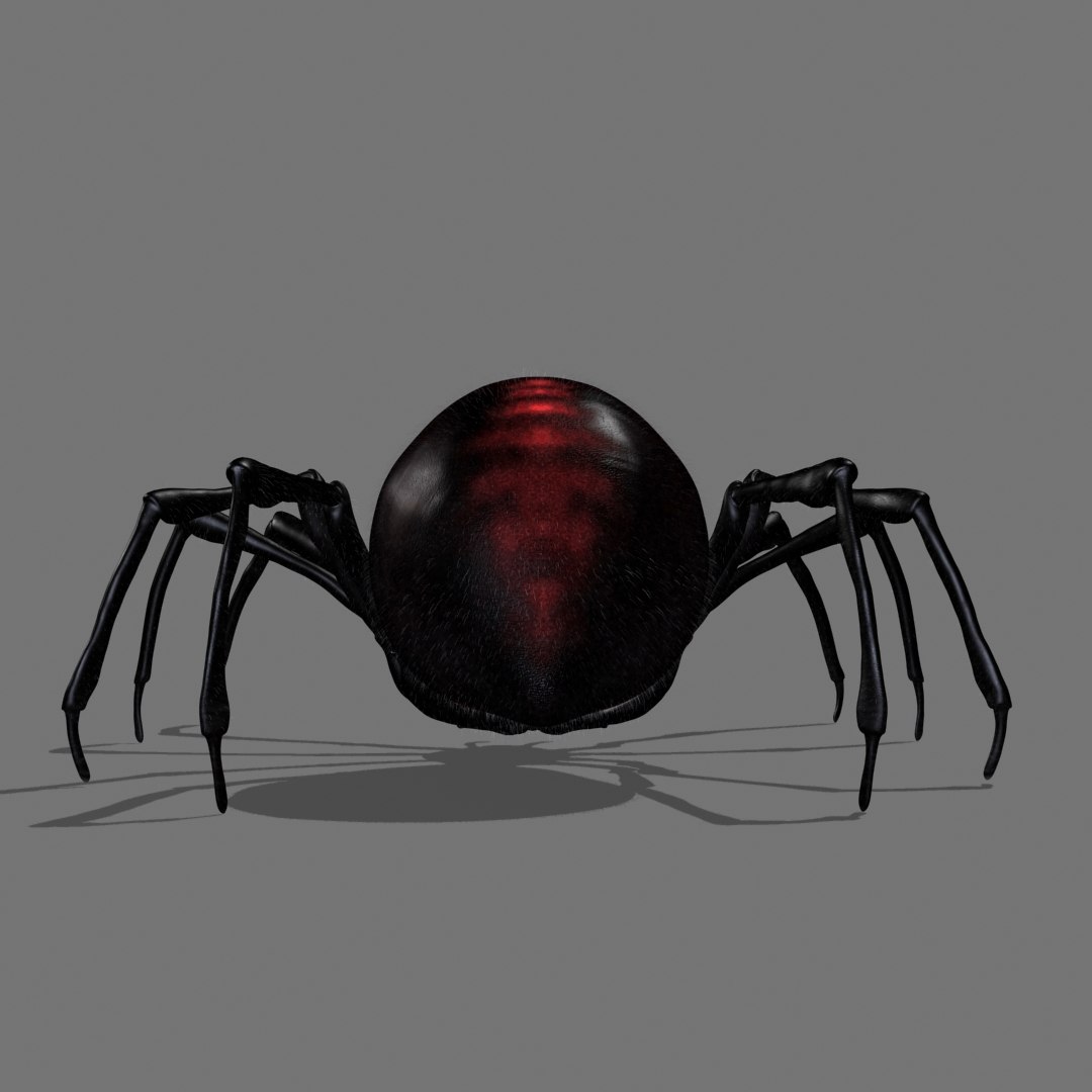 Red Spider Animation 3D Model - TurboSquid 1418667