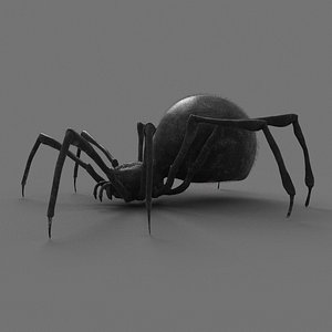 red spider animation 3D model