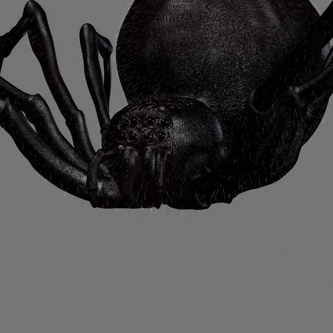 Red Spider Animation 3D Model - TurboSquid 1418667