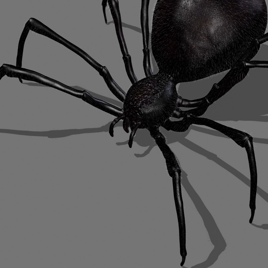 Red Spider Animation 3D Model - TurboSquid 1418667