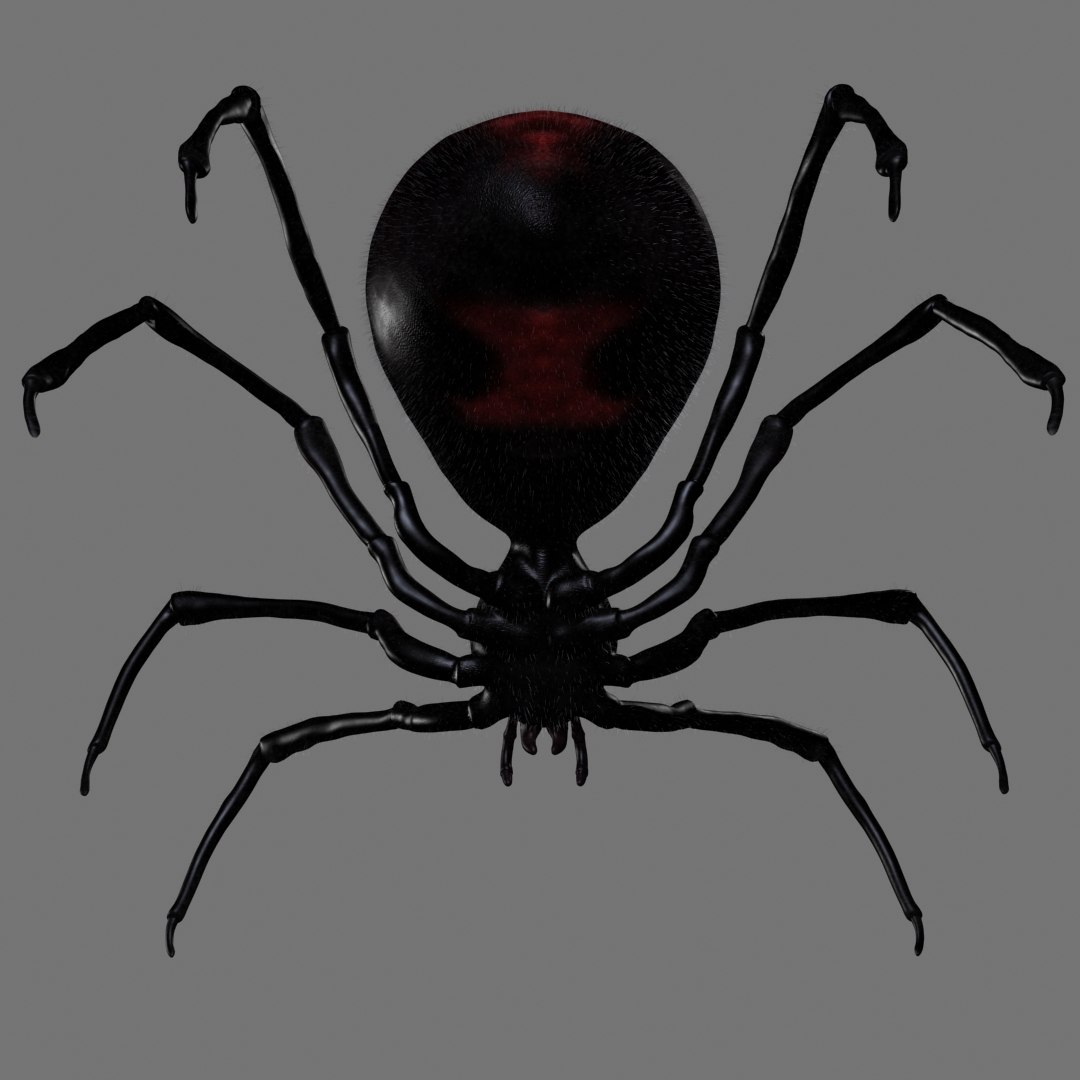 Red Spider Animation 3D Model - TurboSquid 1418667