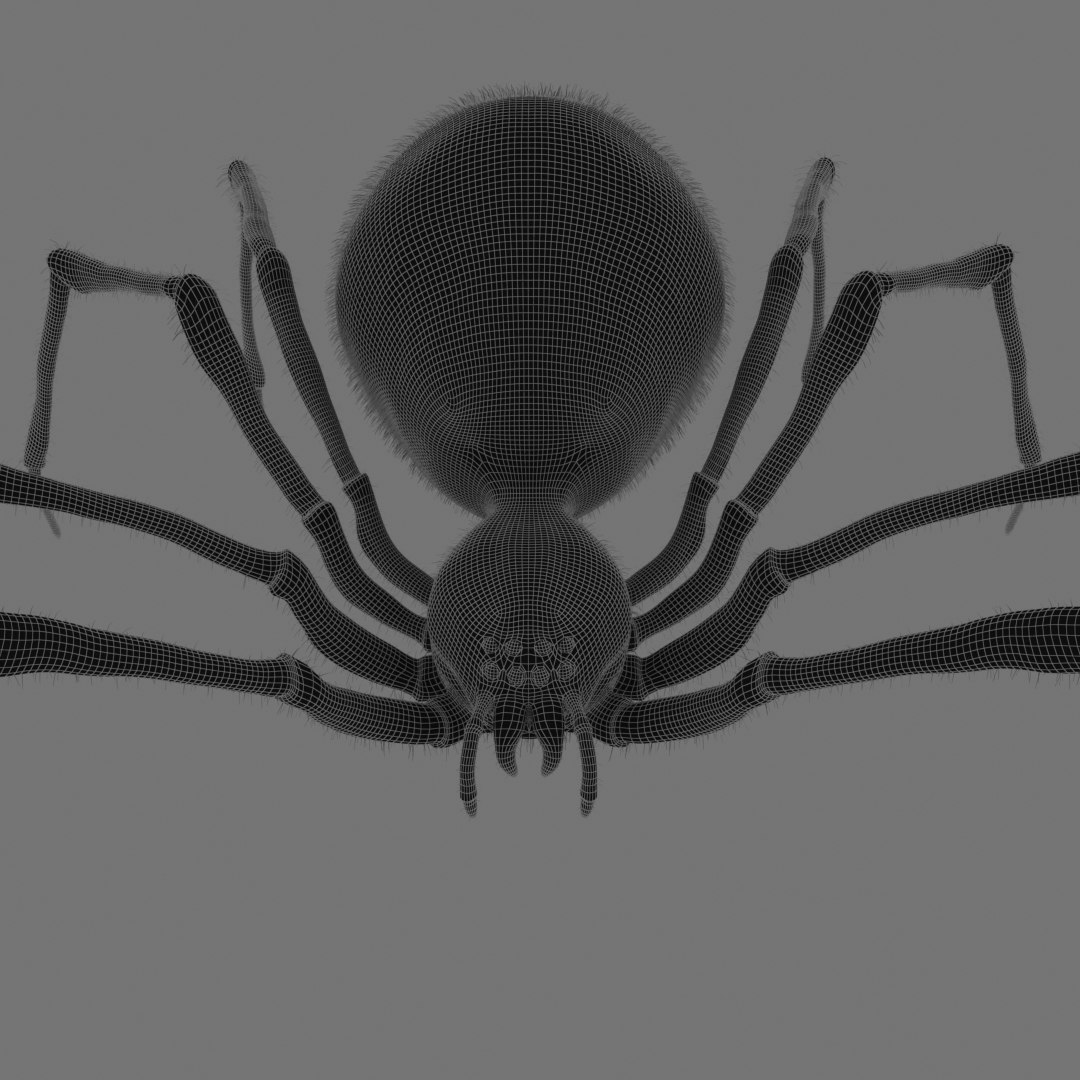 Red Spider Animation 3D Model - TurboSquid 1418667