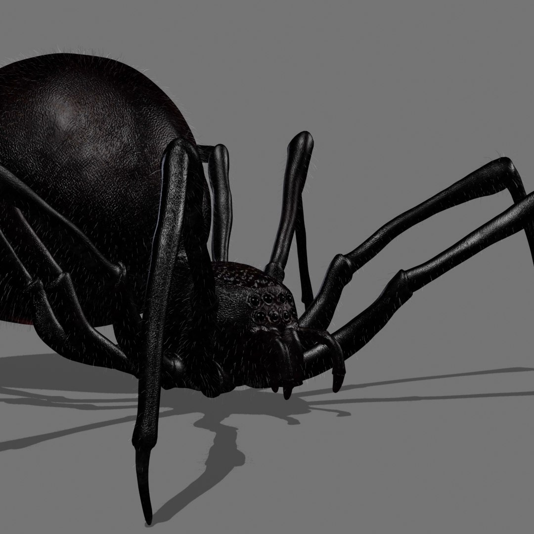 Red Spider Animation 3D Model - TurboSquid 1418667