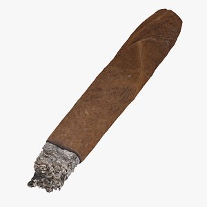 Cigar Short Burned 03 RAW Scan 3D