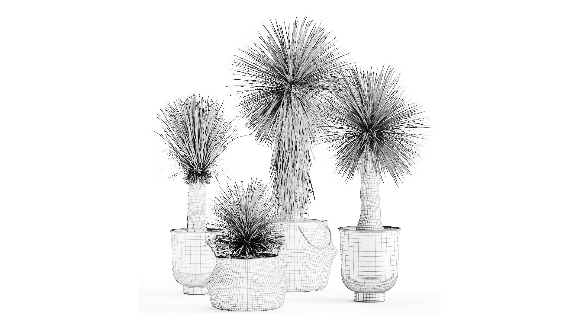 Yucca rostrata in a flowerpot for the interior 1015 3D model https://p.turbosquid.com/ts-thumb/jC/DxULbM/ci/1yucca0207202109/jpg/1625322901/1920x1080/fit_q87/5ca6069ae3ee88f6ca5e7662b1a60f75ae16ace7/1yucca0207202109.jpg