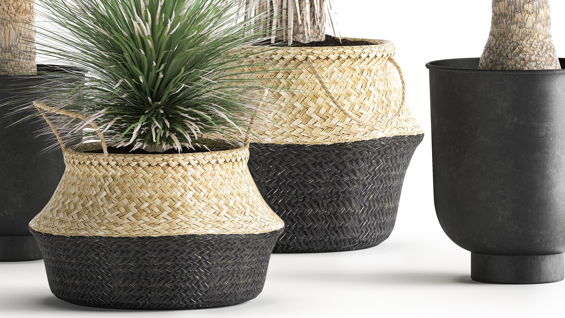 Yucca rostrata in a flowerpot for the interior 1015 3D model https://p.turbosquid.com/ts-thumb/jC/DxULbM/g9/1yucca0207202108/jpg/1625322903/1920x1080/fit_q87/2a02c7e8771e5f3e8bf19e930cb61e97af25477a/1yucca0207202108.jpg