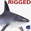 Sandbar Shark Rigged for Cinema 4D