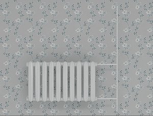 max cast iron radiator