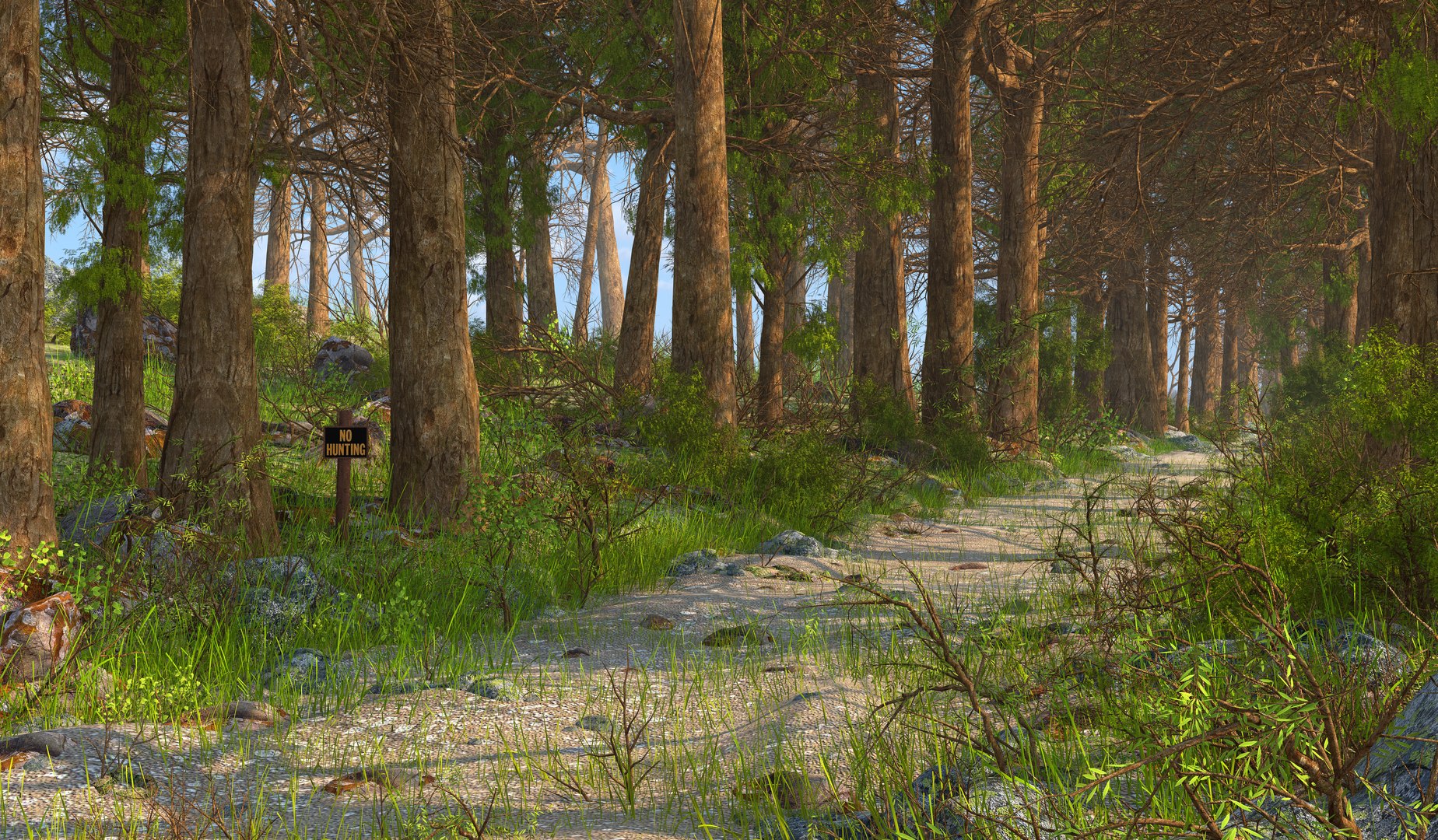 Nature Forest Environment 3D Model - TurboSquid 1734885