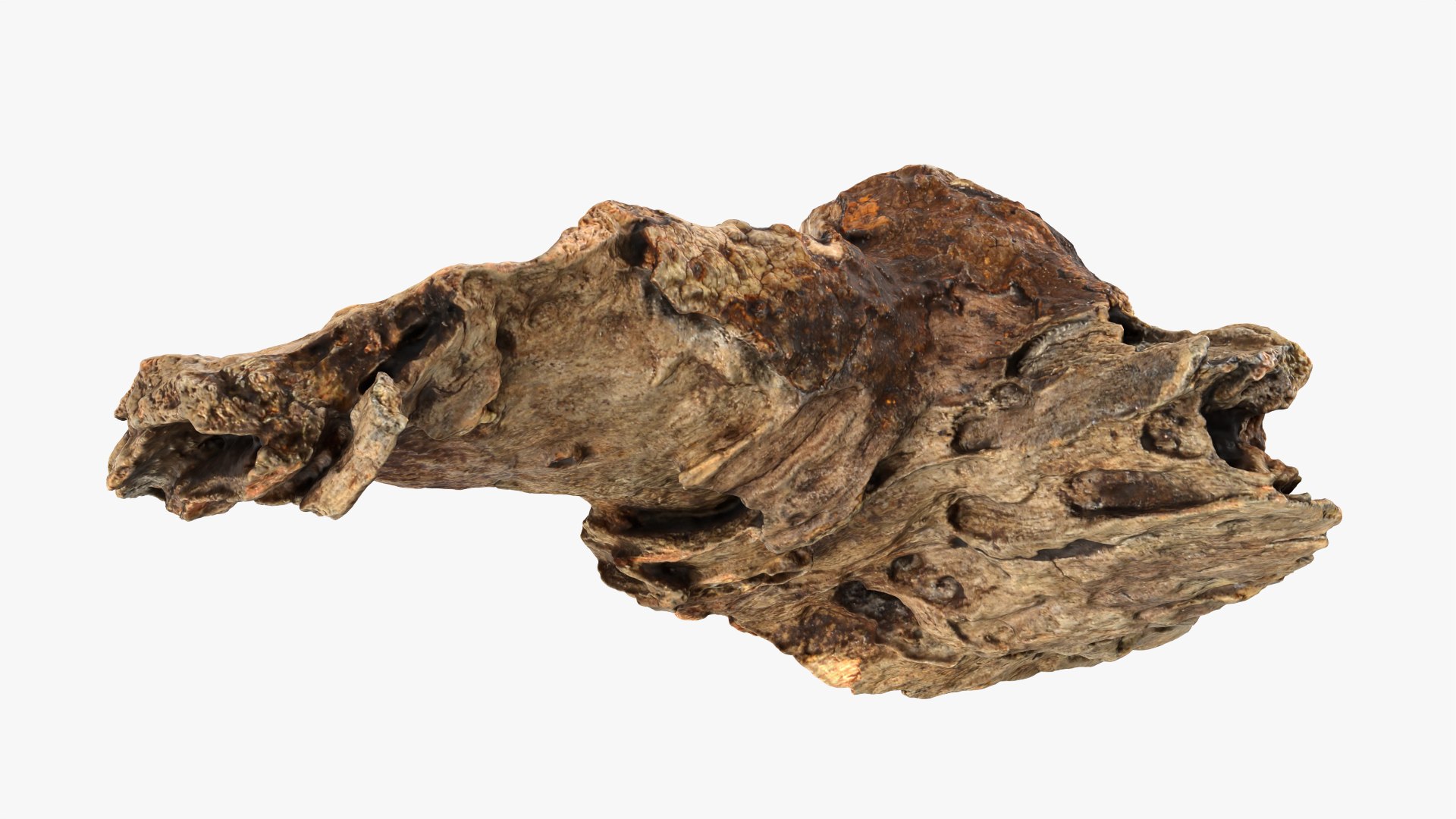 3D Tree Trunk Piece Collection model https://p.turbosquid.com/ts-thumb/jC/i1zM9U/Ef/treetrunkpc03_0001/png/1766384727/1920x1080/fit_q87/310433b5c7a6d81a4eb9a70f11b6dca3c6435bc0/treetrunkpc03_0001.jpg