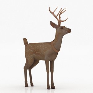 Deer