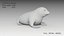 3D model seal baby
