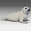 3D model seal baby