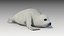 3D model seal baby