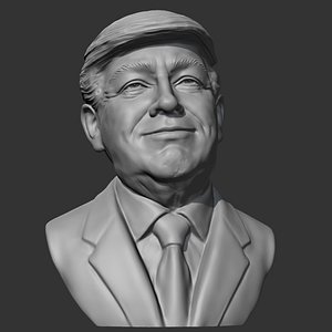 3D Donald Trump 3D print model model