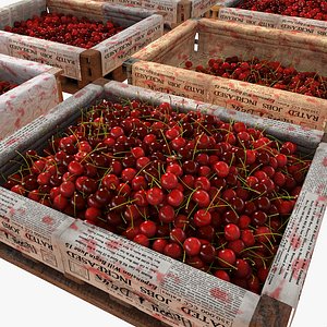 Cherry Fruit Crates Case Market Store Shop Convenience General Grocery Greengrocery Detail Prop Fair Plantation Jungle South Plant Garden Greenhouse (2)