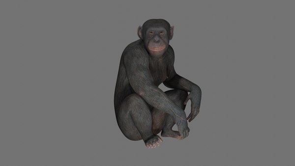 Desenho de macaco Modelo 3D - TurboSquid 1603252