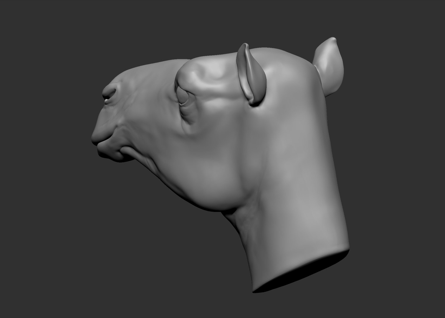 obj camel head https://p.turbosquid.com/ts-thumb/jD/zPrSXD/11P7gBHr/8.bmpf117f6ed39fb4d7ea339d7d61c75a215zoom/jpg/1470316200/1920x1080/fit_q87/d41bdb4aef83cff2900139c62f4415324b5060ac/8.bmpf117f6ed39fb4d7ea339d7d61c75a215zoom.jpg