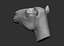 obj camel head