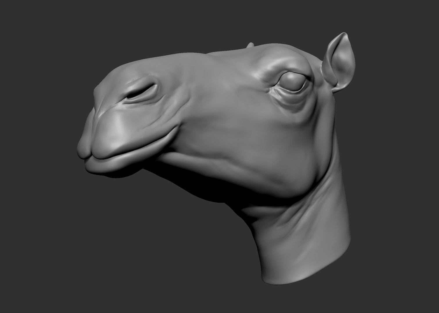 obj camel head https://p.turbosquid.com/ts-thumb/jD/zPrSXD/H9SgC7nQ/3.bmp00a50ff45a184dc8b800fa1dc37359bazoom/jpg/1470316200/1920x1080/fit_q87/0f62f0c8a524a3cc1e30320a7f67ed46ba714bf1/3.bmp00a50ff45a184dc8b800fa1dc37359bazoom.jpg