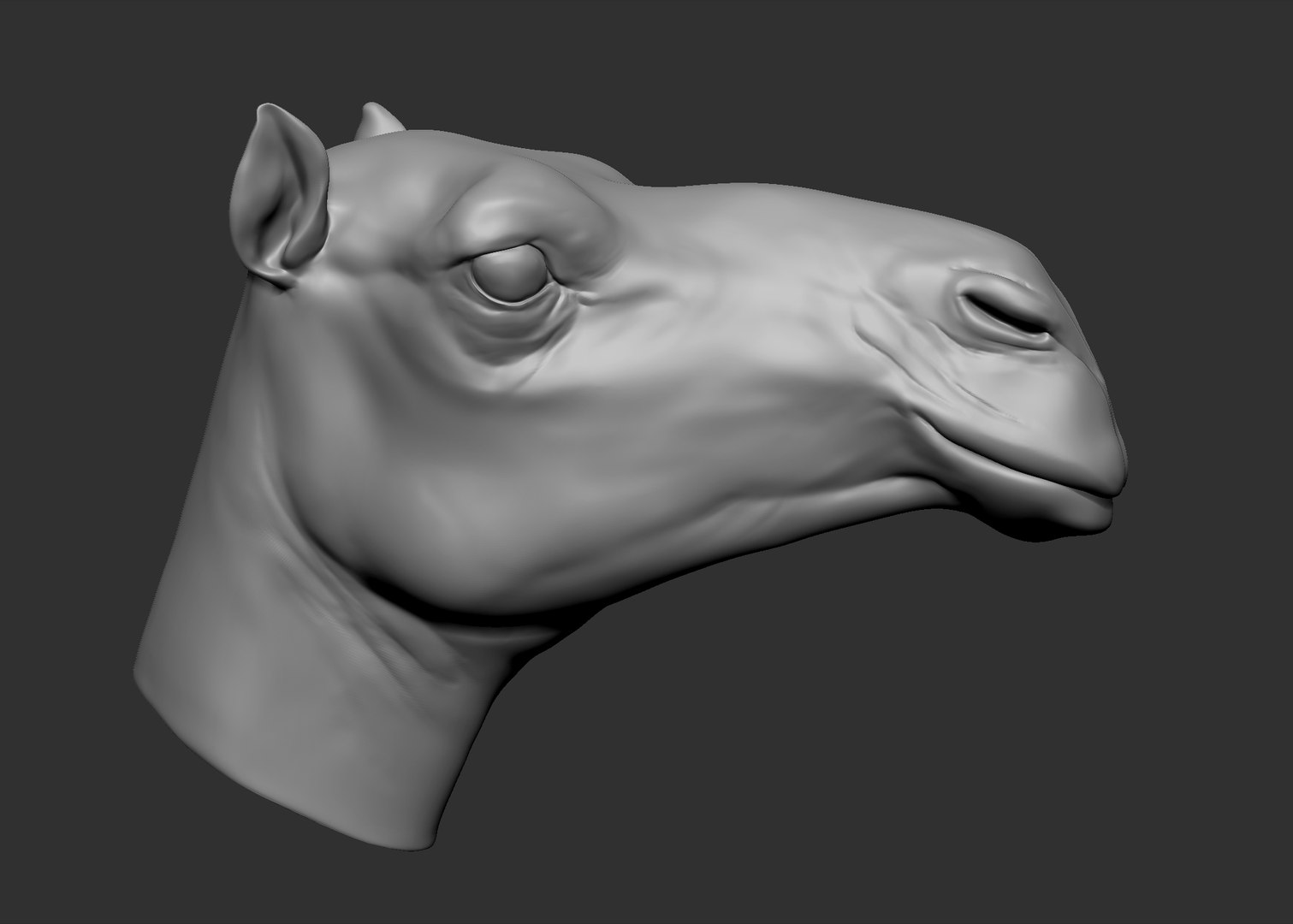 obj camel head https://p.turbosquid.com/ts-thumb/jD/zPrSXD/QESWzA0h/7.bmpf458439ccce84dc4b0b0340238e2a154zoom/jpg/1470316200/1920x1080/fit_q87/c0244f53252aa06ec3e35ddd2bae53d1e5e7a476/7.bmpf458439ccce84dc4b0b0340238e2a154zoom.jpg