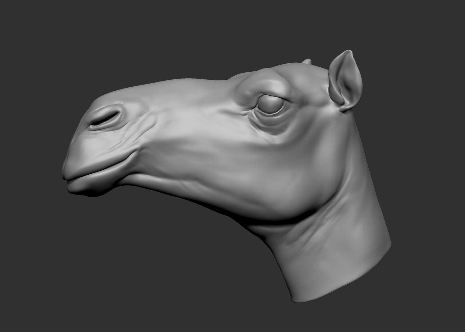 obj camel head https://p.turbosquid.com/ts-thumb/jD/zPrSXD/YEI3eJY7/1.bmp64c1539d028f474a8f8f7738d0b2a8b7zoom/jpg/1470316200/1920x1080/fit_q87/c492936626c27e5bf1ba60df65ae1f16c4fbc2bd/1.bmp64c1539d028f474a8f8f7738d0b2a8b7zoom.jpg