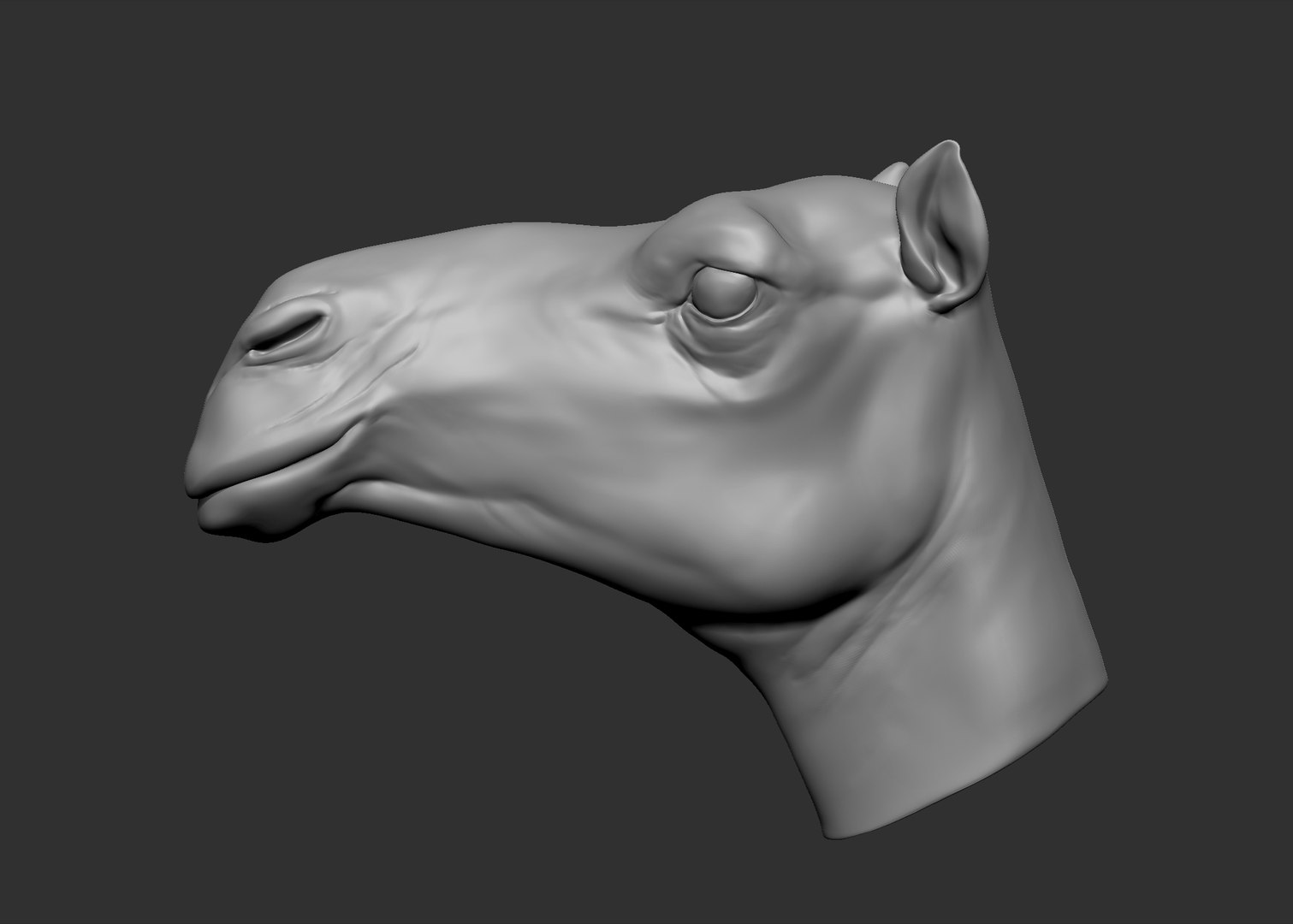 obj camel head https://p.turbosquid.com/ts-thumb/jD/zPrSXD/ikoHbFt6/2.bmp6cb0100b11fb4e6cb227ea9f34387ceezoom/jpg/1470316200/1920x1080/fit_q87/d19a32c1503e854c2e0a12803e91e003419eef22/2.bmp6cb0100b11fb4e6cb227ea9f34387ceezoom.jpg