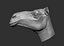 obj camel head
