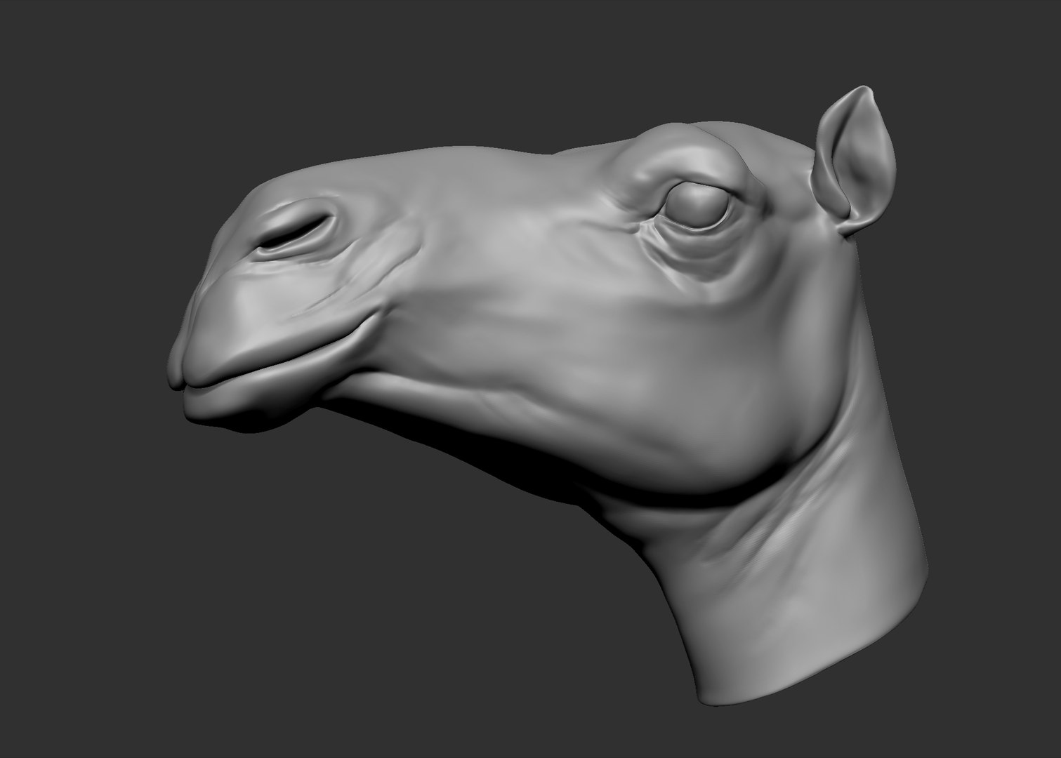 obj camel head https://p.turbosquid.com/ts-thumb/jD/zPrSXD/wE96co2I/9.bmp64320ff795c641f0b4b519e657e0091fzoom/jpg/1470316200/1920x1080/fit_q87/0d47b3436ce881565e55175a3bd736cff7bbcff5/9.bmp64320ff795c641f0b4b519e657e0091fzoom.jpg