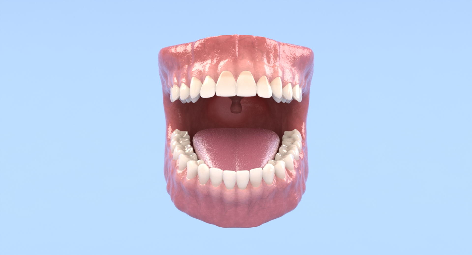 3D anatomy dental - TurboSquid 1326310