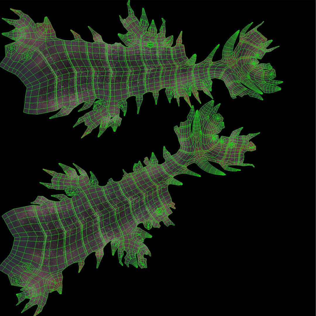 3d model anomalocaris canadensis https://p.turbosquid.com/ts-thumb/jE/3XsygA/1K37aeBk/anomalocaris_10/jpg/1454747283/1920x1080/fit_q87/b5000a52c766ceac0a4d27a38d3a922d1849e90f/anomalocaris_10.jpg