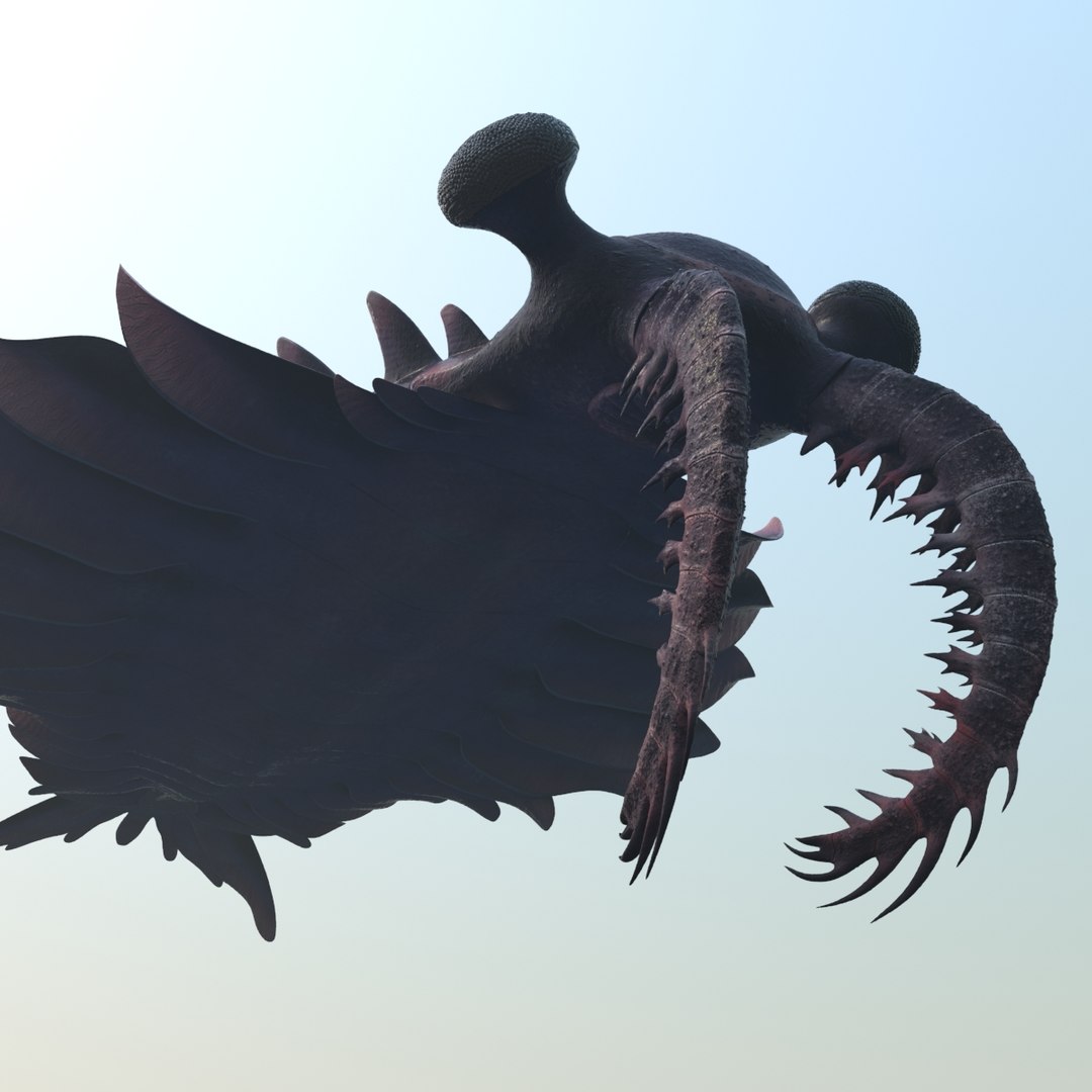 3d model anomalocaris canadensis https://p.turbosquid.com/ts-thumb/jE/3XsygA/EdOS5J8O/anomalocaris_03/jpg/1454747283/1920x1080/fit_q87/1902ff6b22d3f8d0c43e00be643e2e58b29a1574/anomalocaris_03.jpg