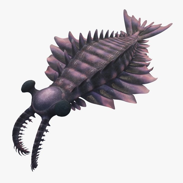 3d-model-anomalocaris-canadensis