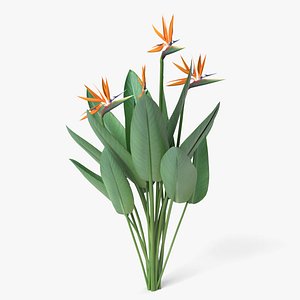Bird of Paradise 2 3D