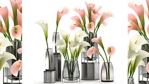 3D Calla flower bouquet in a Vase 114 model