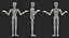 Dummy Doll Surprised Pose 3D Model