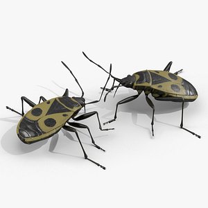 3D model Pyrrhocoris Apterus Bug Yellow Black Rigged for Maya