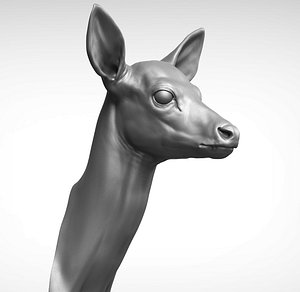 3D head sculpture