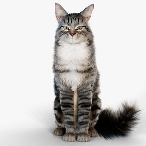Cat Rigged Blender