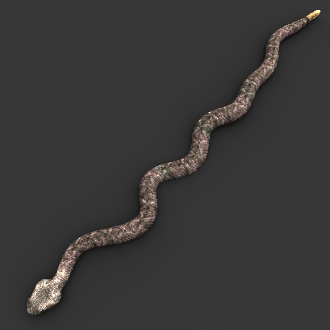 snake reptile animal model https://p.turbosquid.com/ts-thumb/jE/sGMCYv/DDYxOz0W/06_snake/jpg/1576076924/1920x1080/fit_q87/ec25ac98edaf71af076087ac2bf864bc16bd7217/06_snake.jpg