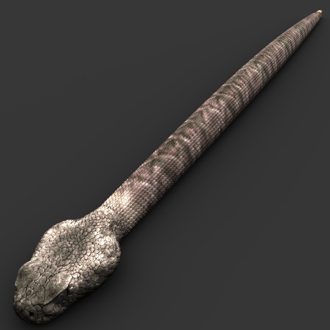 snake reptile animal model https://p.turbosquid.com/ts-thumb/jE/sGMCYv/PZilySNz/02_snake/jpg/1576076816/1920x1080/fit_q87/9b31023ef075449eff93ea26c43bf351f1aebb16/02_snake.jpg