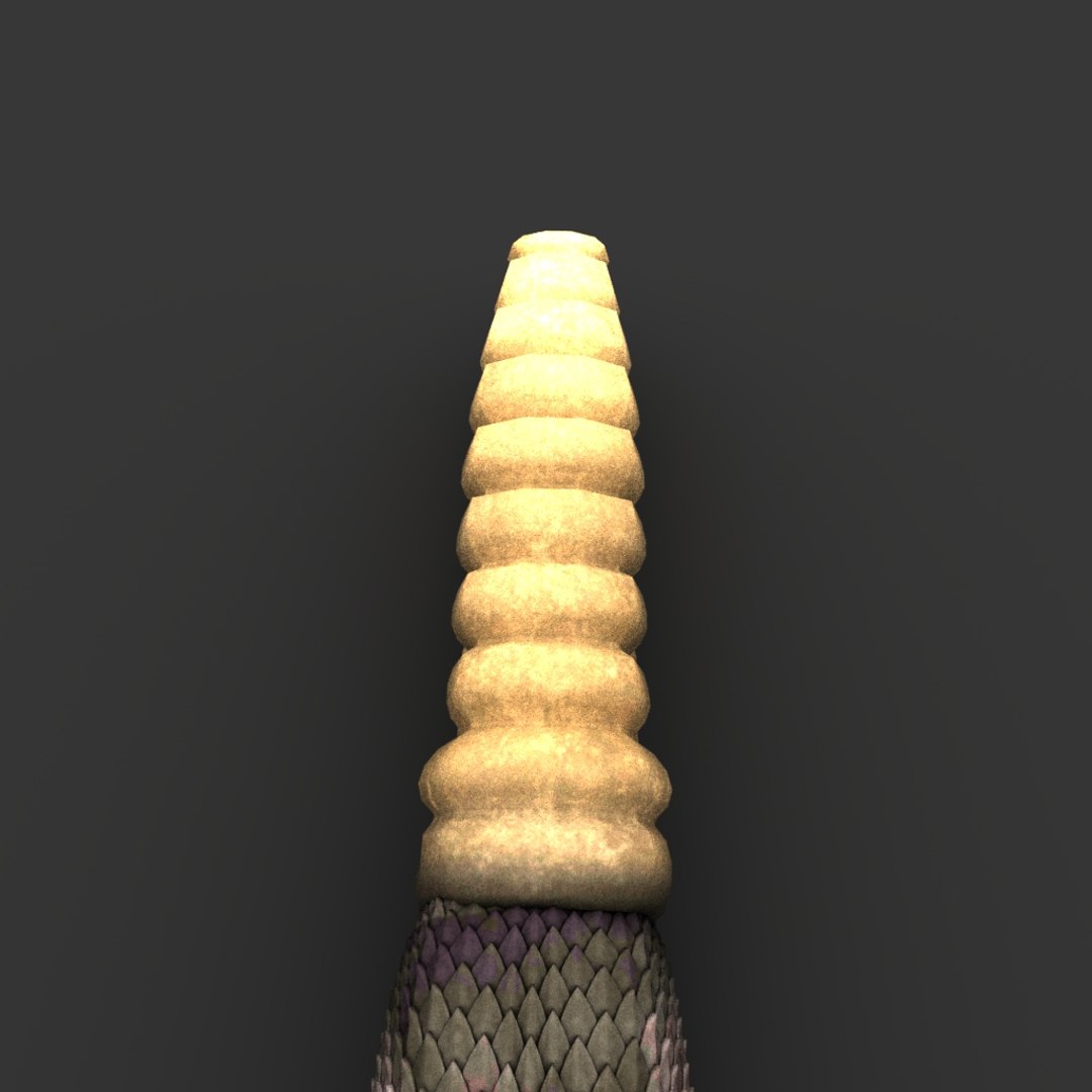 snake reptile animal model https://p.turbosquid.com/ts-thumb/jE/sGMCYv/rJgALaRO/03_snake/jpg/1576076830/1920x1080/fit_q87/c961cee6befc1d81b26b7739251763a8f382d7d9/03_snake.jpg