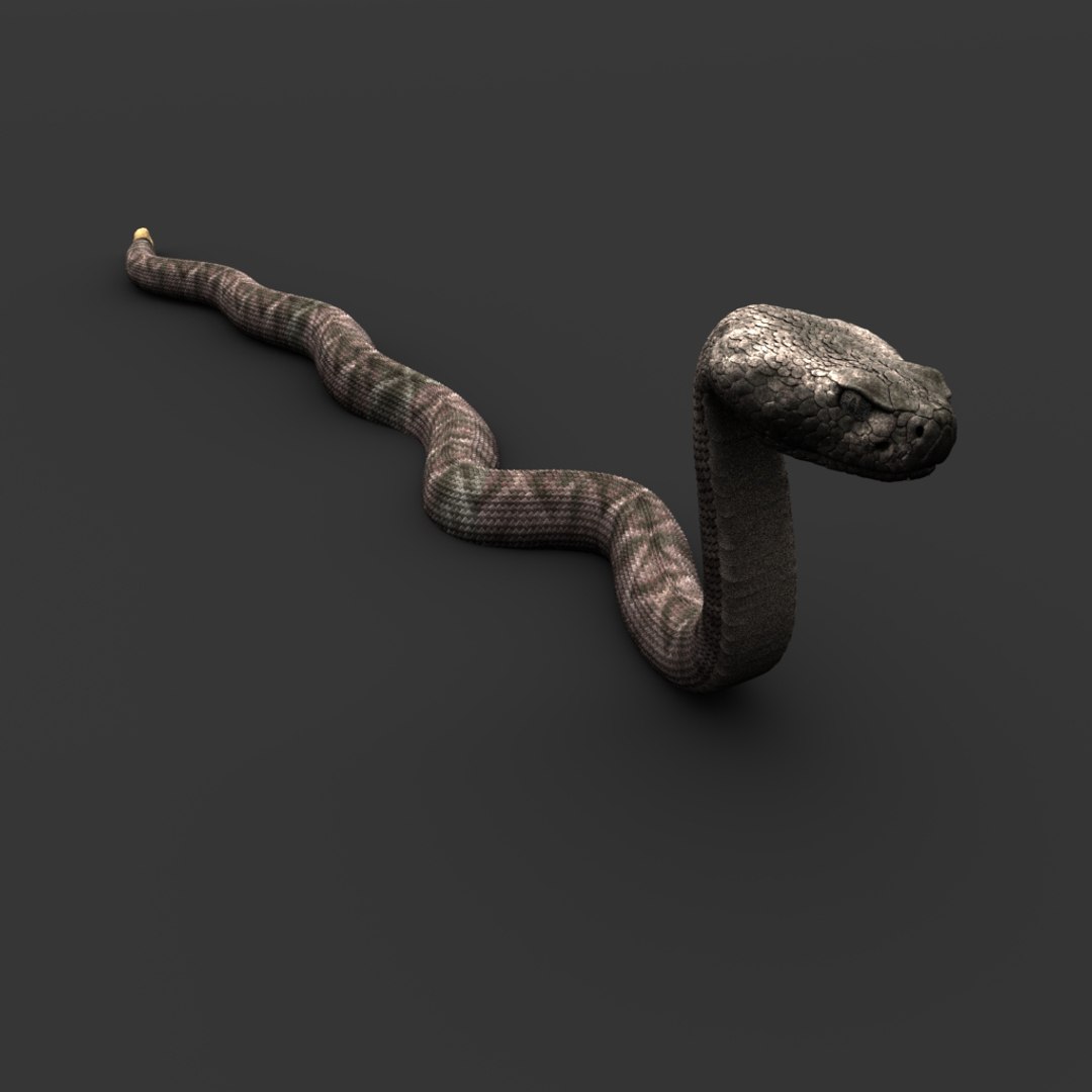 snake reptile animal model https://p.turbosquid.com/ts-thumb/jE/sGMCYv/sZbrSPoZ/04_snake/jpg/1576076846/1920x1080/fit_q87/2340343ecc15e669fae14b7d74f74962d5ef15de/04_snake.jpg