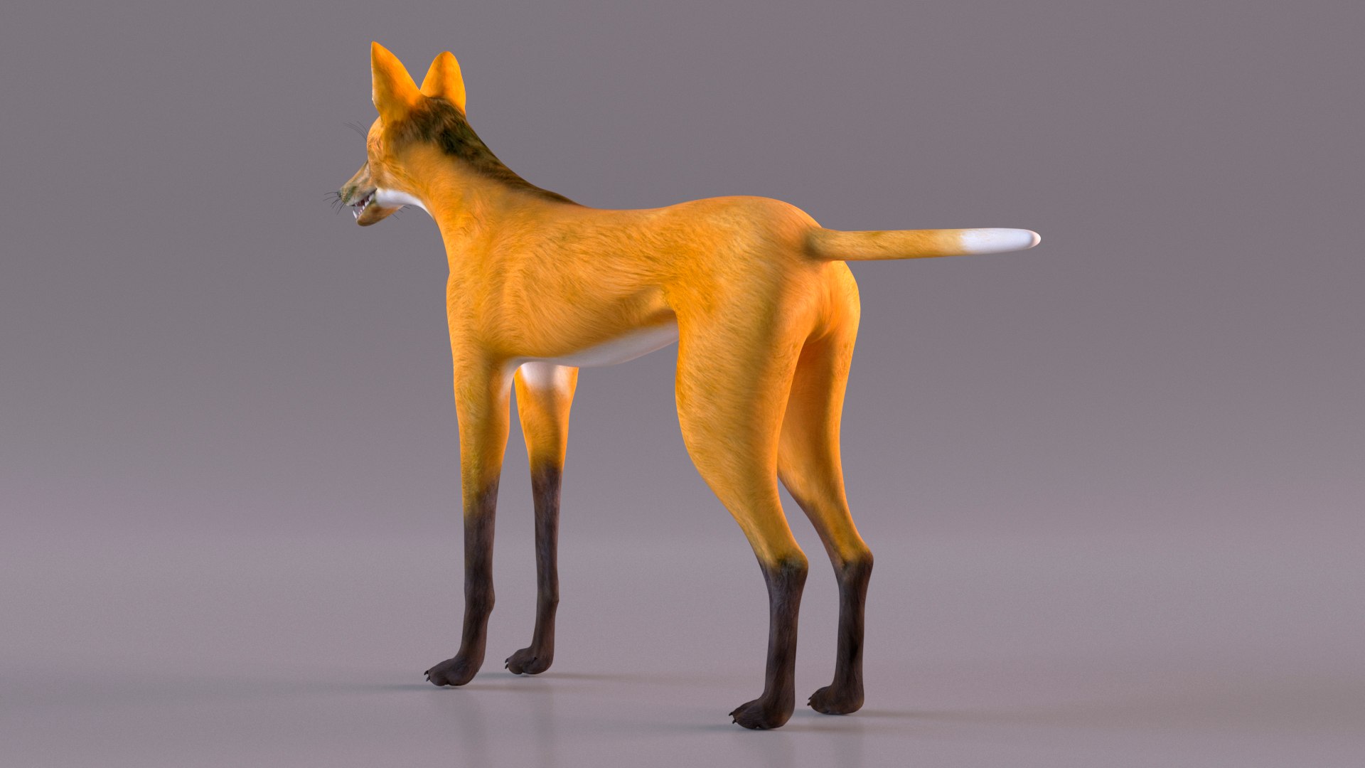 Chrysocyon 3D model https://p.turbosquid.com/ts-thumb/jE/yeF9kU/01/chrysocyonvray3dmodel008/jpg/1709594552/1920x1080/fit_q87/96717b37117622221360a427fbc8ebcefe85fa89/chrysocyonvray3dmodel008.jpg