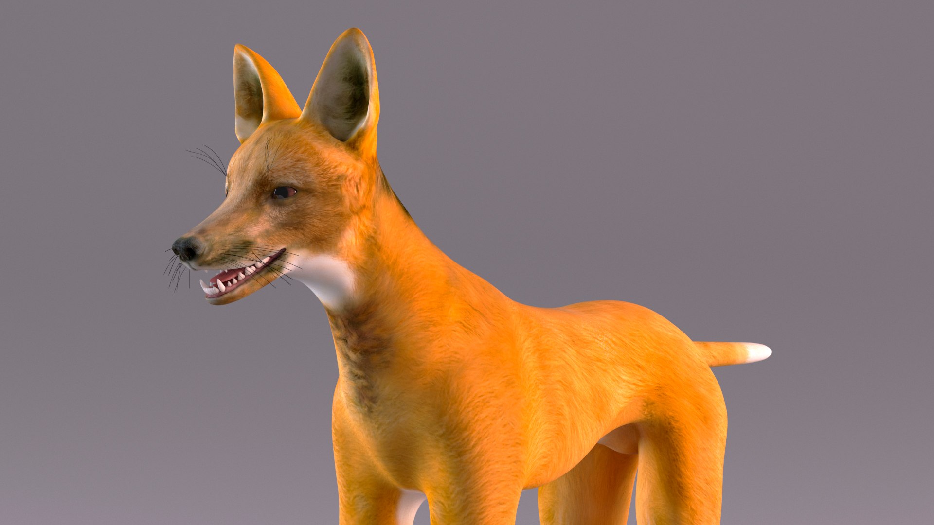 Chrysocyon 3D model https://p.turbosquid.com/ts-thumb/jE/yeF9kU/5m/chrysocyonvray3dmodel009/jpg/1709594556/1920x1080/fit_q87/681e849c4df7a258498883847b0331a678b1efc1/chrysocyonvray3dmodel009.jpg
